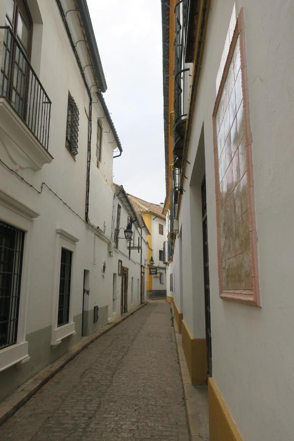Apartament Calle De La Convalecencia *